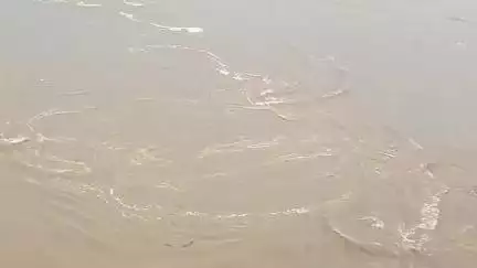 গোপীবল্লভপুর ১: ফের ১ লক্ষ ৪৭,৩৭৩ কিউসেক জল ছাড়ল গালুডী ব্যারেজ কতৃপক্ষ,গোপীবল্লভপুরের জগন্নাথপুর ঘাটে বন্ধ রাখা হয়েছে ফেরি পরিষেবা