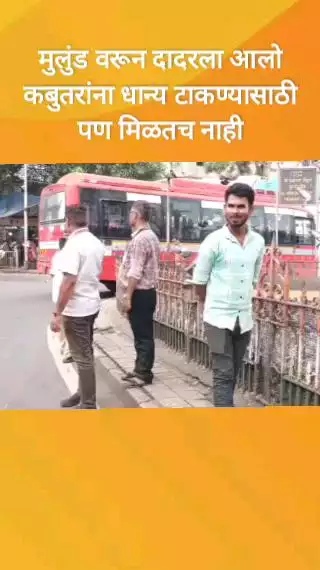 मुलुंड वरून दादरला आलो कबुतरांना धान्य टाकण्यासाठी पण मिळतच नाही