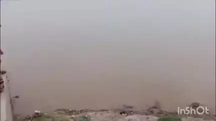 बड़हरा: बड़हरा प्रखंड में तेजी से बढ़ रहा है गंगा का जलस्तर, किनारे बसे गांव के लोगों में भय का माहौल