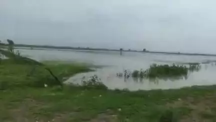 पीपलदा: इटावा क्षेत्र में लगातार बारिश से किसानों के खेत जलमग्न, सोयाबीन की फसल गलने की कगार पर, हालात खराब