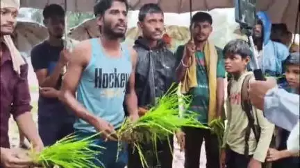 बहोरीबंद: तिगवा देवरी सड़क मार्ग कीचड़ में तब्दील, ग्रामीणों ने रोपा लगाकर किया विरोध प्रदर्शन