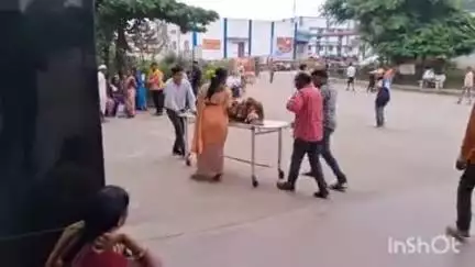 बैतूल नगर: खेत में काम कर रही महिला को जहरीले सांप ने काटा, शिर्डी गांव की घटना, अस्पताल में उपचार जारी