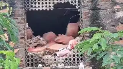 पाली: कलेक्ट्रेट के रिकॉर्ड शाखा में भारी बारिश के कारण टूटी दीवार, महत्वपूर्ण फाइलें पड़ी मिली लावारिस