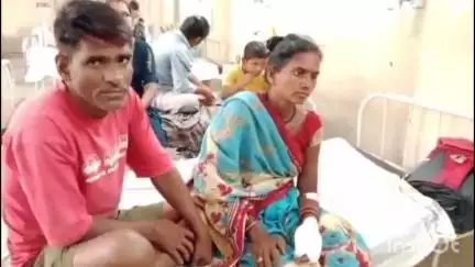 कटनी नगर: नीमखेड़ा ग्राम में खेत में बुआई के दौरान पति-पत्नी से मारपीट, घायल अस्पताल में भर्ती