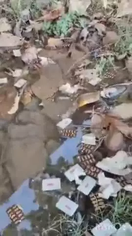 निघासन: बम्हनपुर में रामाधीन इंटर कॉलेज परिसर में सरकारी दवाएं कूड़े में मिलीं, वीडियो वायरल, विभाग की लापरवाही सामने आई
