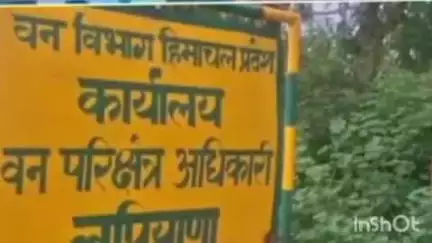 शाहपुर: लपियाना में खैर माफिया सक्रिय, विभाग ने 43 मोछै जब्त की