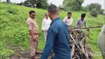 सरदारपुर: राजोद के आनंदखेड़ी में नदी किनारे 6 राष्ट्रीय पक्षी मोर मृत मिले, क्षेत्र में फैली सनसनी