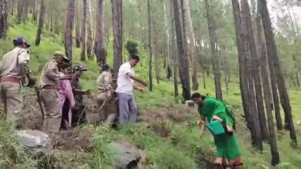 थराली: हरेला पर्व पर थराली विधायक और उपजिलाधिकारी ने वन विभाग के लीसा डिपो परिसर में किया वृक्षारोपण