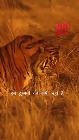 #श्रीराधे #श्रावणमास #बोलबम #काँवरिया#सावन #saavan #श्रीकृष्ण #maavindhyawasini #राधेकृष्ण #radhe #hanuman #ram #hari