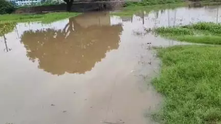 सलोन चक से वार्ड नंबर 7 का रास्ता देख लीजिए जो कि हमारा मुखिया रास्ता बनाने का वादा किया था और आज तक रास्ता नहीं बना है