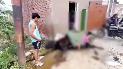 शिकोहाबाद: शिकोहाबाद में 11,000 वोल्ट के तार की चपेट में आने से गाय की मौत, बिजली विभाग पर लापरवाही का आरोप