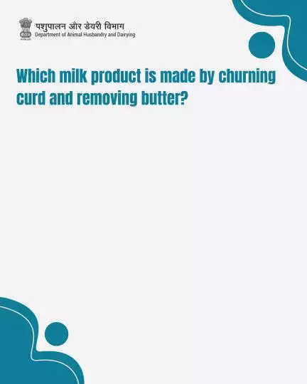 Q: Which milk product is made by churning curd and removing butter?

 A: (D) Buttermilk