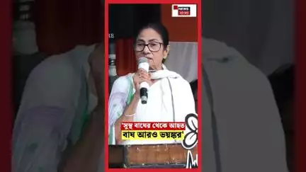 'সুস্থ বাঘের থেকে আহত বাঘ আরও ভয়ঙ্কর' BJP কে তোপ Mamata Banerjee র | N18S | #shorts