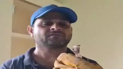 गिरिडीह: 17 साल से सांपों के संरक्षण में जुटे रॉकी नवल ने प्रशासन से सहयोग मांगा, कहा- अब तक कोई साथ नहीं