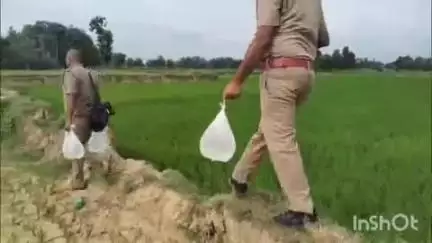 चौरीचौरा: चौरी चौरा में आबकारी की दबिश में 200 कुन्तल लहन किया गया नष्ट, एक व्यक्ति गिरफ्तार