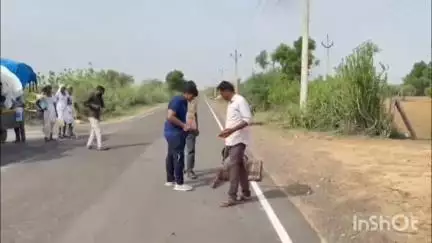 થરાદ: દીકરો સાજો થતાં ભોરોલના ખેડૂત પિતાની રણુજા દંડવત યાત્રા