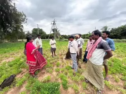 శింగనమల: సింగనమలమండల పొలం పిలుస్తోంది కార్యక్రమంలో పాల్గొన్న వ్యవసాయ అధికారన్వేష్ కుమార్.