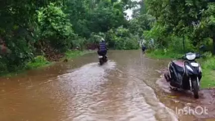धमतरी: धमतरी शहर में 1 घंटे की बारिश से जलमग्न हुआ शहर, निगम के दावों की खुली पोल, कई जगहों पर गिरे पेड़