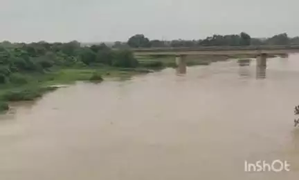 भिंड नगर: भिंडडिडी गांव में क्वारी नदी खतरे के निशान से ऊपर, सिंध नदी का जल स्तर बढ़ा, किनारे के गांवों में अलर्ट जारी