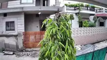 आबू रोड: आबूरोड के हीरो होंडा शोरूम के पीछे मवेशी ने जमकर मचाया कोहराम, महिला का किया पीछा