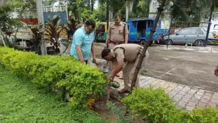 भगवानपुर: इकबालपुर पुलिस चौकी में वृक्षारोपण कर मनाया गया हरेला पर्व