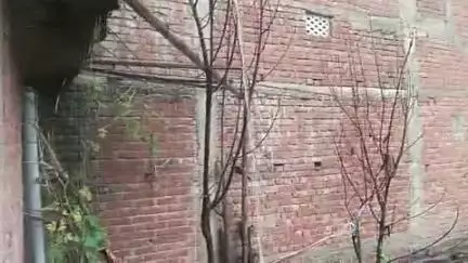 पाटन: पाटन में मूसलाधार बारिश
