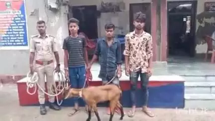 मधेपुर: दलदल गांव के लोगों ने बकरी चोरों को भीठ-भगवानपुर में पकड़ा, पुलिस के हवाले किया, एफआईआर दर्ज