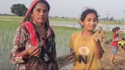 হরিয়ানায় মাটি খুঁড়তেই বেড়িয়ে এল গুপ্তধন, পাওয়া গেল বিপুল সংখ্যক রুপোর কয়েন
