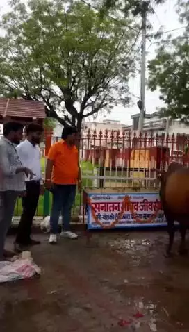 आमेर: शाहपुरा में बेसहारा गोवंश के लिए नई पहल, पहले चरण में लगाए गए 50 स्टैंड