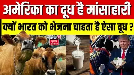 India US Milk War | अमेरिका का दूध है मांसाहारी, क्यों भारत को भेजना चाहता है ऐसा दूध ? | N18G