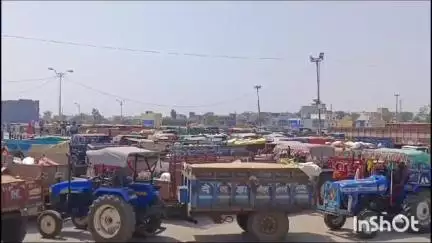 धार: धार कृषि उपज मंडी में बुधवार को सोयाबीन की बंपर आवक रही