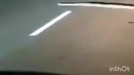 निघासन: सिंगाही-बेलरायां स्टेट हाईवे पर दिखाई दिया विशाल काय अजगर का 'रोड शो', करीब 5 मिनट तक रुका यातायात