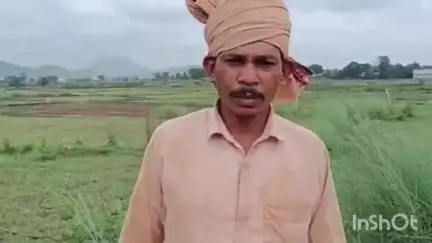ମାଲକାନଗିରି: ଦ୍ଵିତୀୟ ଫସଲ ଚାଷନିମନ୍ତେ ଆଗୁଆ ମାଗଣା ବିହନ ଯୋଗାଇଦେବାକୁ ଉପମୁଖ୍ୟମନ୍ତ୍ରୀଙ୍କୁ ଅନୁରୋଧକରି ପ୍ରତିକ୍ରିୟା ଦେଲେ ପାହନାମୁହାଁନ ଗ୍ରାମର ଚାଷୀ