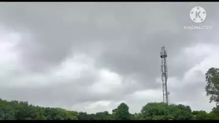 बैकुंठपुर: कोरिया जिले में असमान वर्षा वितरण, पटना तहसील सबसे आगे; कलेक्टर ने जल भराव क्षेत्रों के निरीक्षण के दिए निर्देश