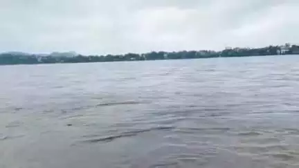 घोसी: घोसी से गुजरने वाली फल्गु नदी में आई भीषण बाढ़, नदी किनारे बसे ग्रामीण परेशान