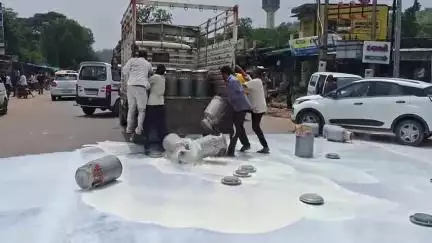 મોડાસા: અરવલ્લીમાં પશુપાલકોનો ઉગ્ર વિરોધ મેઘરજ ના ગ્રીનપાર્ક આગળ બે ટેમ્પાઓ રોકી દૂધના કેન ખાલી કરી વિરોધ નોધાયો. #Jansamasya