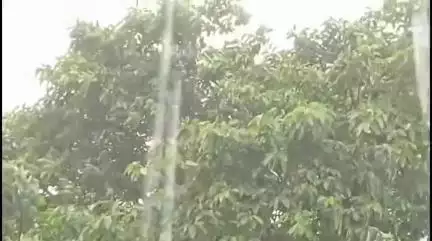 ବାଲେଶ୍ବର ମ୍ୟୁନିସିପାଲଟି: ଆସନ୍ତା ୨୪ ଘଣ୍ଟାରେ ଜିଲ୍ଲାକୁ ପବନ ଓ ଘଡଘଡି ସହ ବର୍ଷା ନେଇ ୟେଲୋ ଆଲର୍ଟ ଜାରି