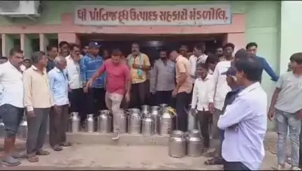 પ્રાંતિજ: તાલુકામાં પશુપાલકોએ રસ્તા પર દૂધ ઢોળી કર્યો વિરોધ