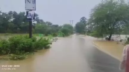 मेदिनीनगर (डालटनगंज): गुरसुती नदी उफान पर, मेदिनीनगर से कटा पाटन का संपर्क