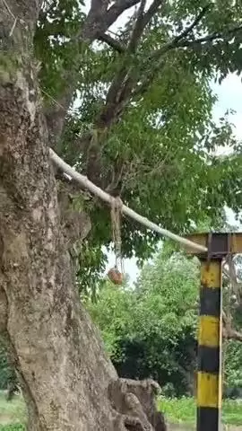 करछना: भरहा स्थित मार्ग पर लगे हाइट गेज हटाने को लेकर भारतीय किसान यूनियन 25 जुलाई को DM कार्यालय पर करेंगे धरना