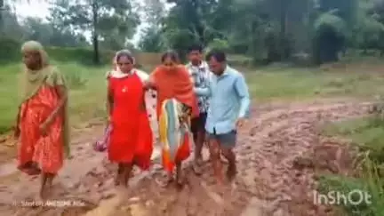 कांकेर: ग्राम पंडरीपानी में सड़क पुलिया ना होने से गर्भवती महिला को 4 किलोमीटर पैदल चलाना हुआ वायरल