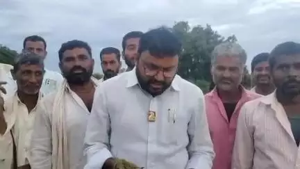 सिल्लोड: गेवराई सेमी येथे शरद पवार गटाचे तालुका अध्यक्ष राहुल कुमार ताठे वन्य प्राण्यांच्या नुकसानाच्या विरोधात करणार आंदोलन
