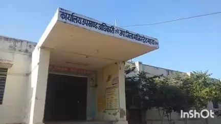 महवा: दुल्हापुरा निवासी हत्या के आरोपी को सुनाई गई उम्र कैद की सजा