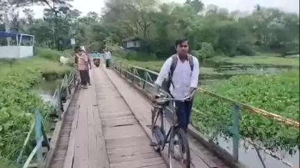 স্বরূপনগর: ভেকুটিয়া ঘাট সংলগ্ন ইছামতি নদীতে কচুরিপানার জঙ্গল টলমল কাঠের সেতু, দ্রুত সমাধানের দাবি এলাকাবাসীর #jansamasya