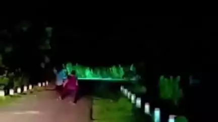सोहागपुर: ग्राम धनपुरा में हाथियों का दल पहुंचा, ग्रामीणों ने टार्च व मशाल जलाकर भगाया