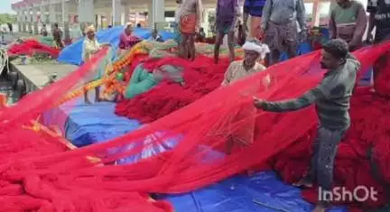 കാർത്തികപ്പള്ളി: കള്ളിക്കാട് മത്സ്യബന്ധനത്തിനിടെ വല കണ്ടെയ്നറിൽ ഉടക്കി കീറി നശിച്ചു, പത്തു ലക്ഷത്തോളം രൂപയുടെ നഷ്ടം