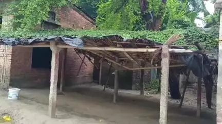 शिवाजी नगर: राजकीय मध्य विद्यालय छतौनी का भवन जर्जर, बारिश में शिक्षा व्यवस्था बदहाल, सरकार से अपील