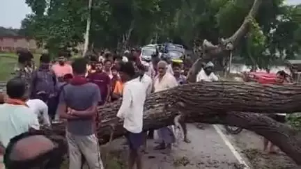 सिमरी बख्तियारपुर: महखड़ ढाला व बगरौली ढाला के पास विशाल पेड़ गिरने से कई घंटों तक यातायात बाधित