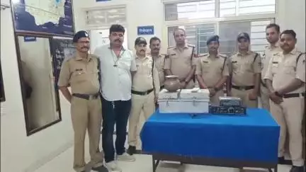 सिवनी: भैरोगंज के हनुमान मंदिर में चोरी का कोतवाली पुलिस ने किया खुलासा, एक आरोपी गिरफ्तार