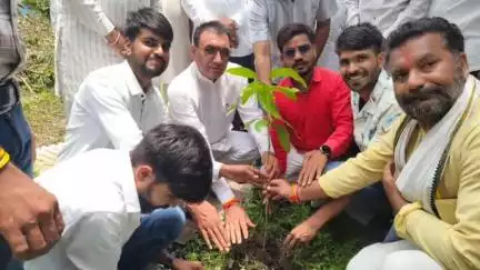 ब्यावरा: राज्य मंत्री नारायण सिंह पंवार ने ब्यावर शहर के स्वरूप नगर में किया पौधारोपण